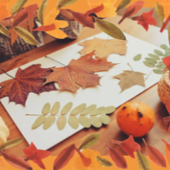 Titelbild HerbstWE