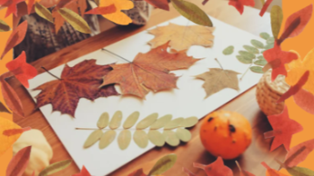 Titelbild HerbstWE