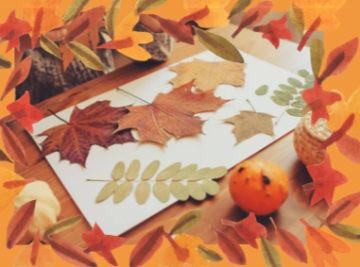 Titelbild HerbstWE